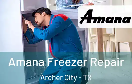  Amana Freezer Repair Archer City - TX