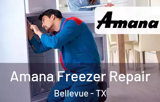 Amana Freezer Repair Bellevue - TX