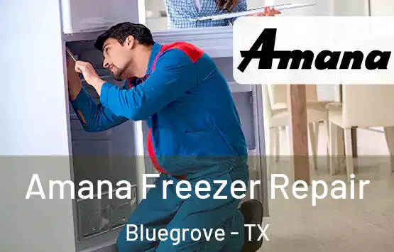  Amana Freezer Repair Bluegrove - TX