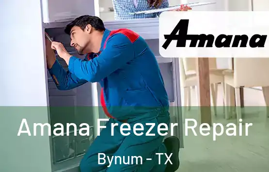  Amana Freezer Repair Bynum - TX