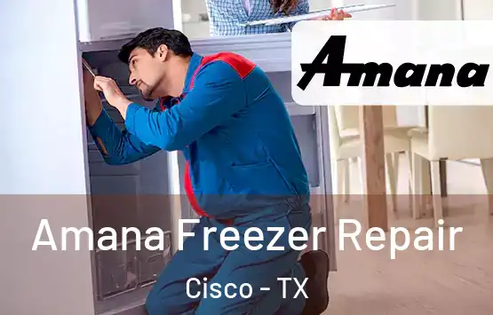  Amana Freezer Repair Cisco - TX