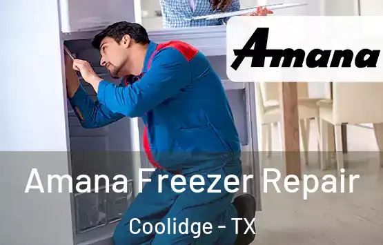  Amana Freezer Repair Coolidge - TX