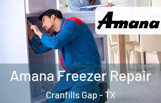  Amana Freezer Repair Cranfills Gap - TX