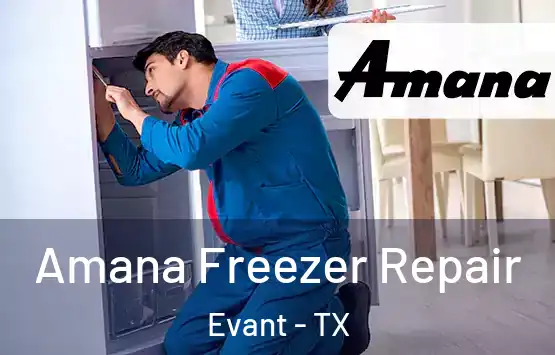  Amana Freezer Repair Evant - TX