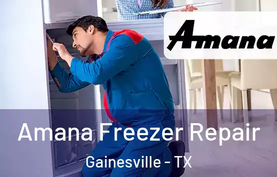  Amana Freezer Repair Gainesville - TX