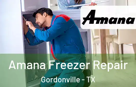  Amana Freezer Repair Gordonville - TX