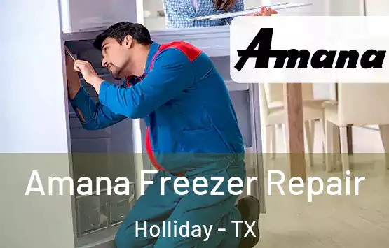  Amana Freezer Repair Holliday - TX