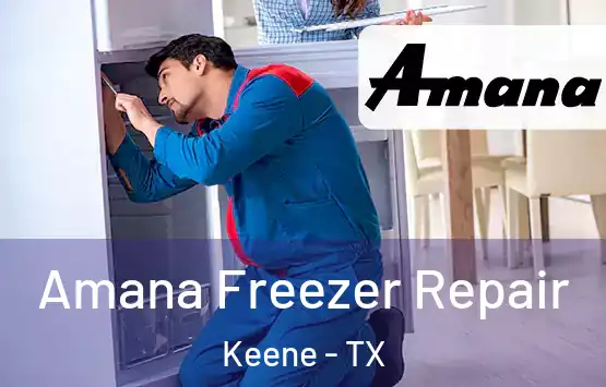  Amana Freezer Repair Keene - TX