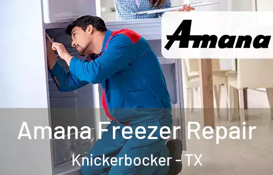  Amana Freezer Repair Knickerbocker - TX