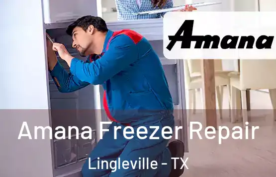  Amana Freezer Repair Lingleville - TX