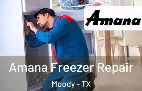  Amana Freezer Repair Moody - TX