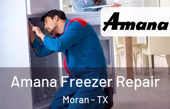  Amana Freezer Repair Moran - TX
