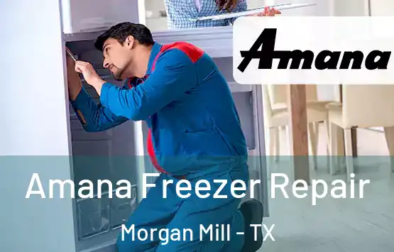  Amana Freezer Repair Morgan Mill - TX