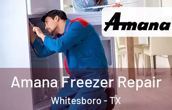  Amana Freezer Repair Whitesboro - TX