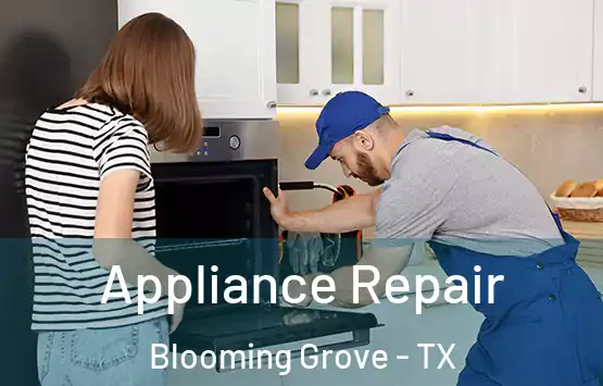  Appliance Repair Blooming Grove - TX