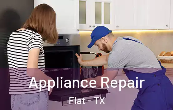  Appliance Repair Flat - TX