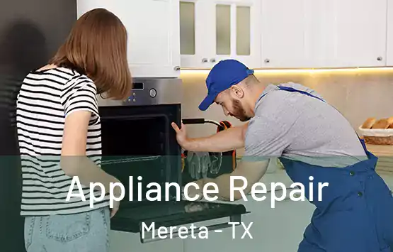  Appliance Repair Mereta - TX
