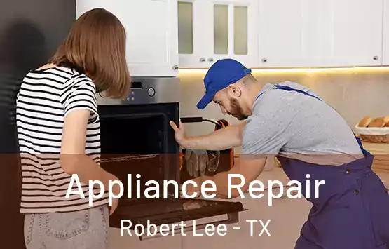  Appliance Repair Robert Lee - TX