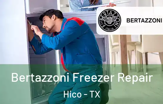  Bertazzoni Freezer Repair Hico - TX
