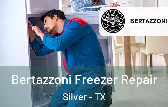  Bertazzoni Freezer Repair Silver - TX