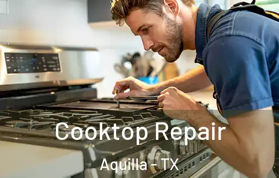  Cooktop Repair Aquilla - TX