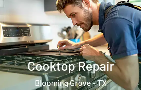  Cooktop Repair Blooming Grove - TX