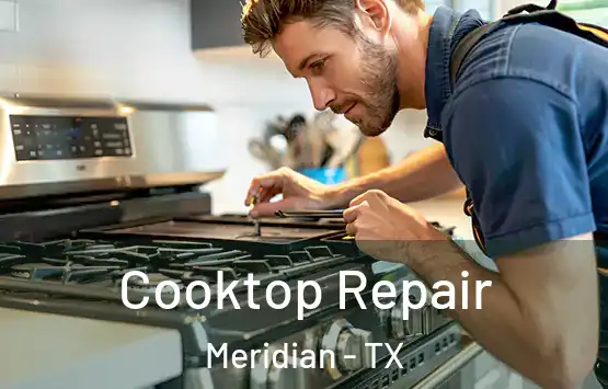  Cooktop Repair Meridian - TX