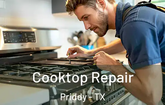  Cooktop Repair Priddy - TX