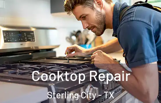  Cooktop Repair Sterling City - TX