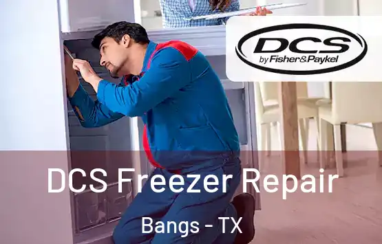  DCS Freezer Repair Bangs - TX