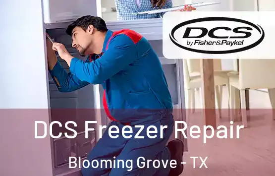  DCS Freezer Repair Blooming Grove - TX
