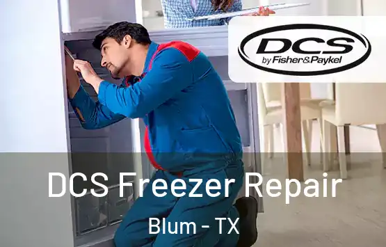  DCS Freezer Repair Blum - TX