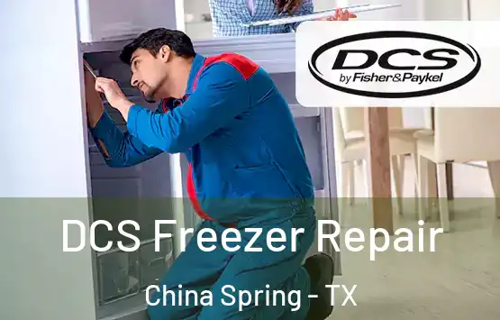  DCS Freezer Repair China Spring - TX