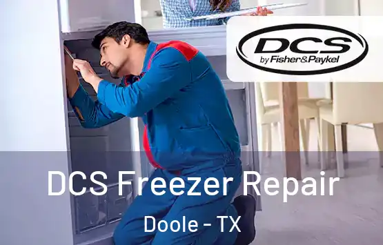  DCS Freezer Repair Doole - TX