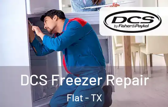  DCS Freezer Repair Flat - TX