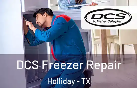  DCS Freezer Repair Holliday - TX