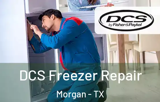  DCS Freezer Repair Morgan - TX
