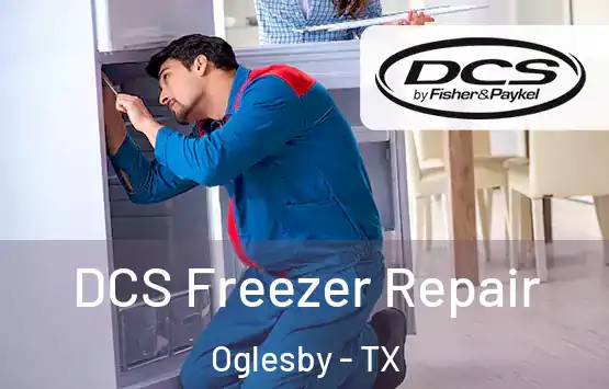  DCS Freezer Repair Oglesby - TX