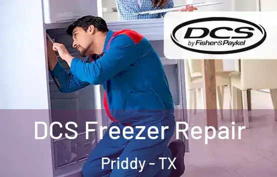  DCS Freezer Repair Priddy - TX