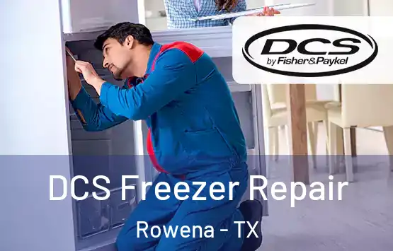  DCS Freezer Repair Rowena - TX