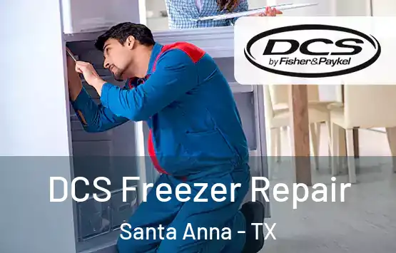  DCS Freezer Repair Santa Anna - TX