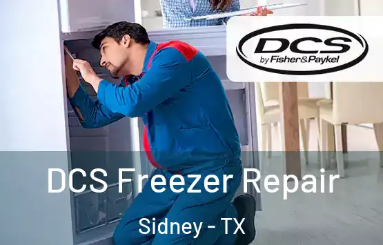  DCS Freezer Repair Sidney - TX