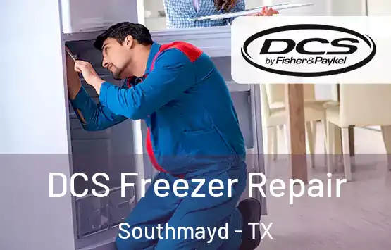  DCS Freezer Repair Southmayd - TX