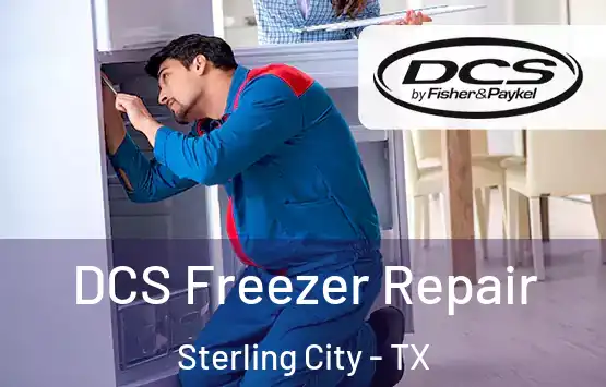  DCS Freezer Repair Sterling City - TX