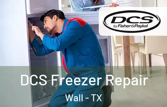  DCS Freezer Repair Wall - TX