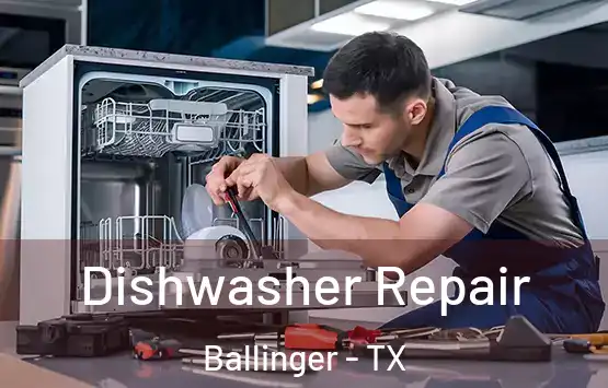  Dishwasher Repair Ballinger - TX
