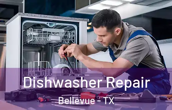  Dishwasher Repair Bellevue - TX