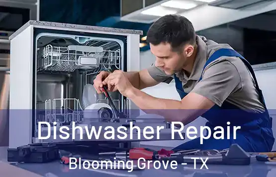  Dishwasher Repair Blooming Grove - TX