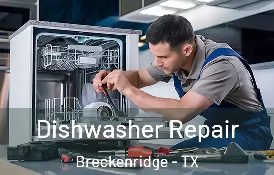  Dishwasher Repair Breckenridge - TX