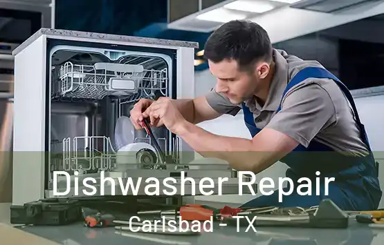 Dishwasher Repair Carlsbad - TX